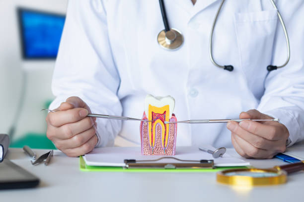 Best Same-Day Emergency Dental Services in Cassopolis, MI